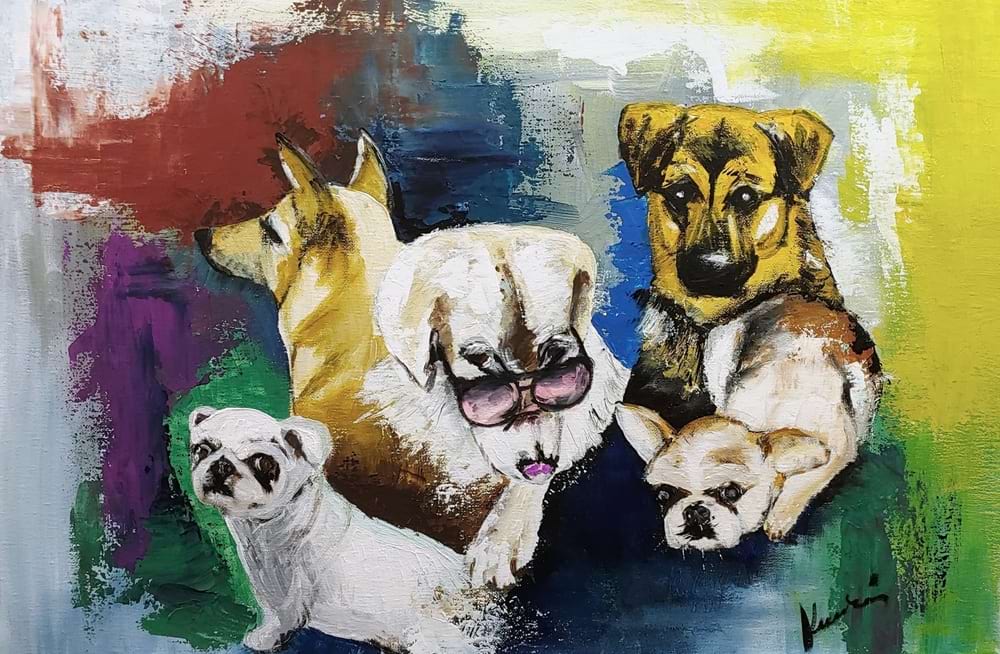 Dogs