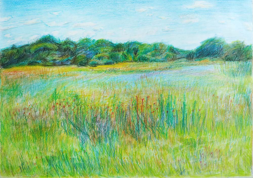 Meadow in Rędzin